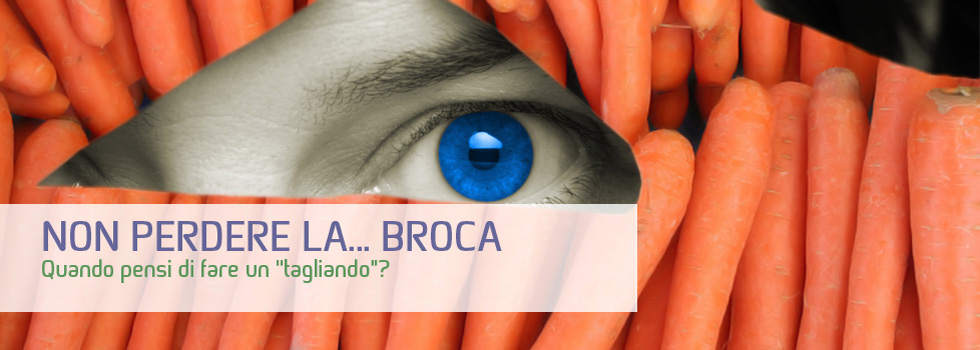 Non perdere la Broca